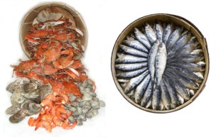 Frozen Food Transport