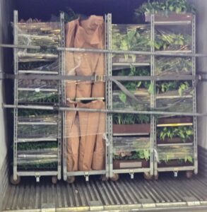 full truckload LTL carrier refrigerated reefer trailer WCCT